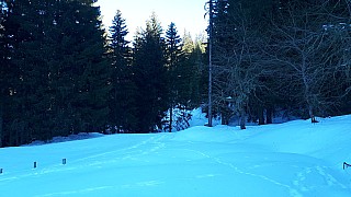 20220130_150938_51870236993_l.jpg