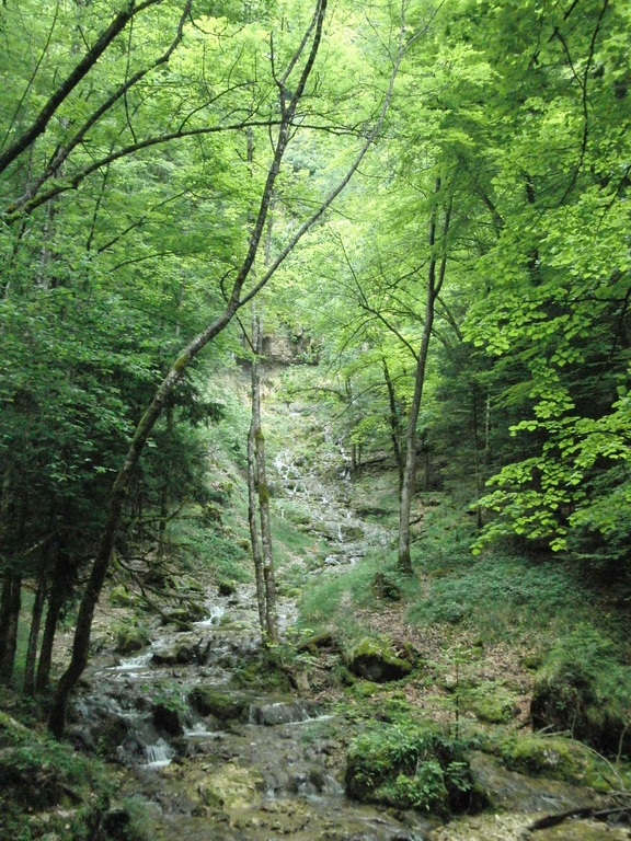 2010-06_Jura_090.jpg